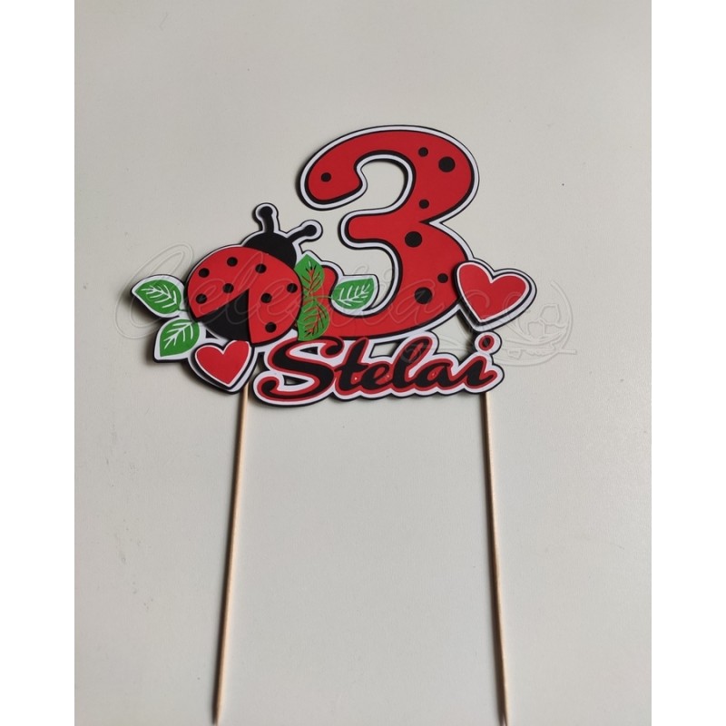 Smeigtukas tortui Boružėlė 2