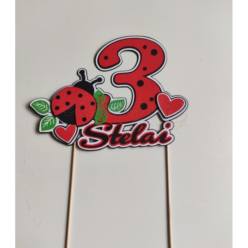 Smeigtukas tortui Boružėlė 2