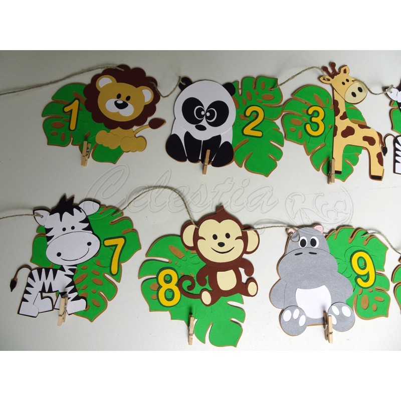 Vėliavėlės mažylio nuotraukoms Zoo