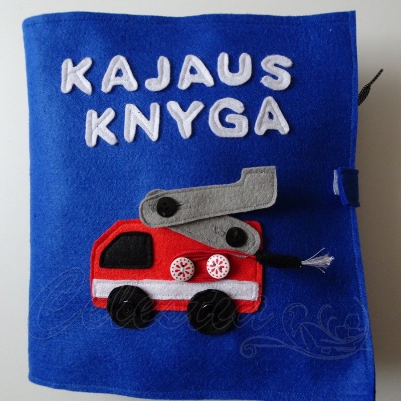 Lavinamosios knygos viršelis 4