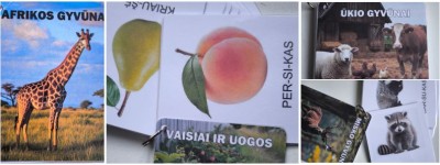 Laminuota knygutė